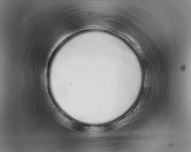 X0000116840796201001081457