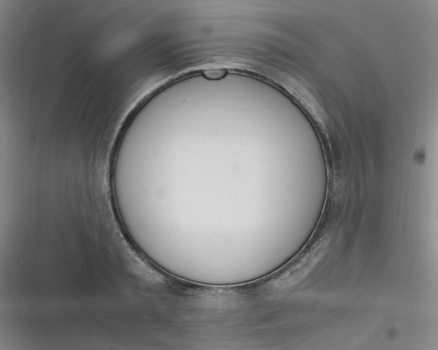 X0000116840797201001081457