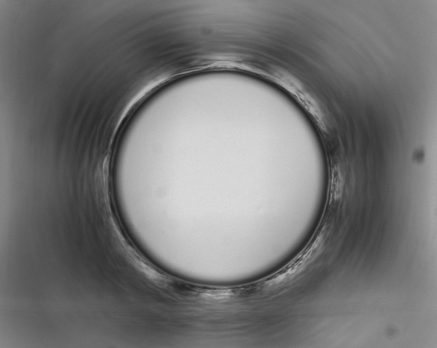 X0000116840798201001081457