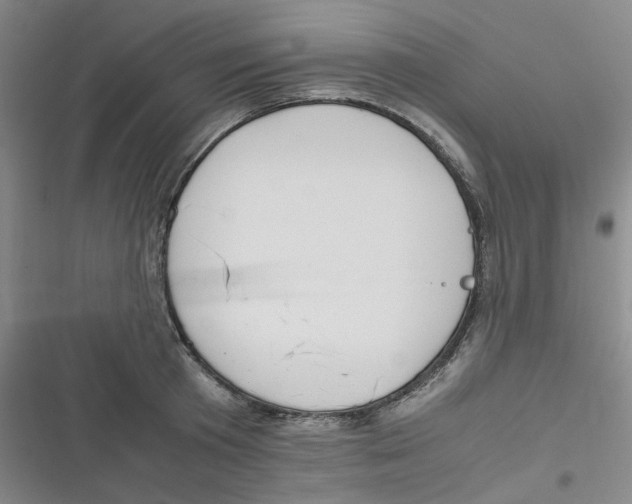 X0000116840801201001081457