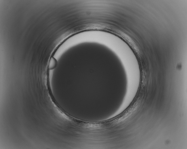 X0000116840802201001081457