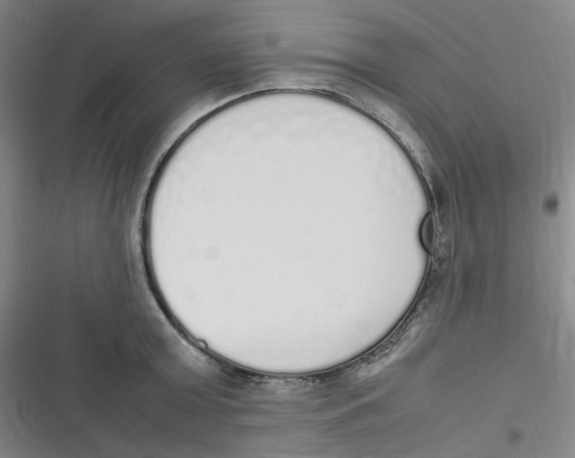 X0000116840803201001081457