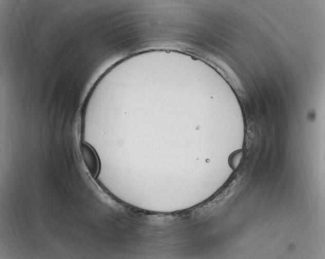 X0000116840804201001081457