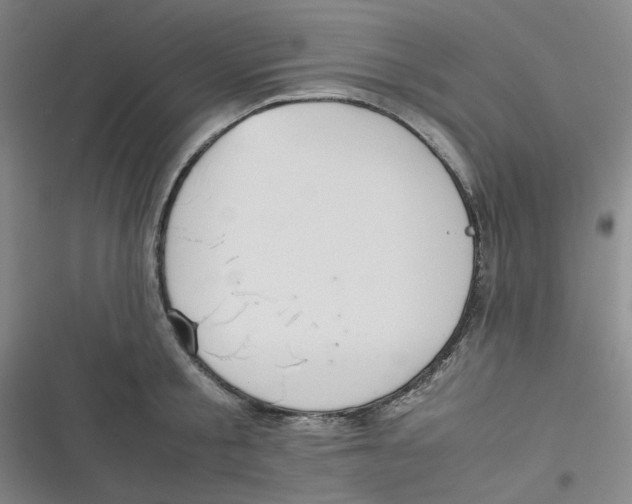 X0000116840805201001081457