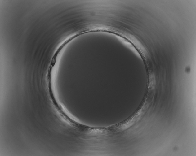 X0000116840806201001081457