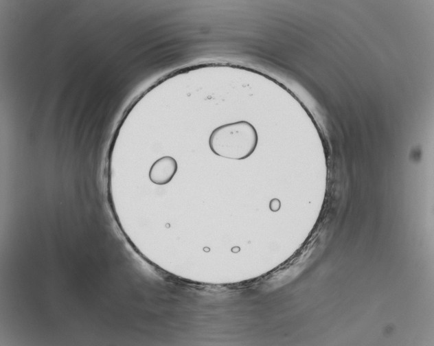 X0000116840807201001081457