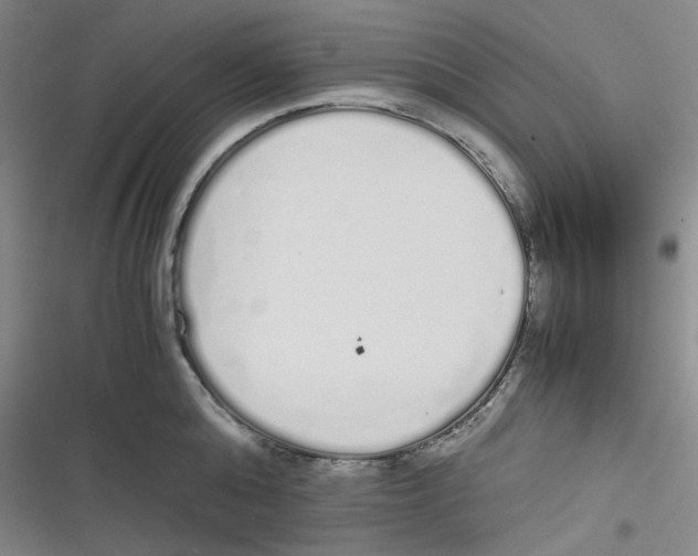 X0000116840808201001081457