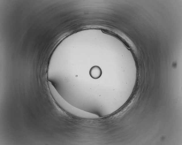 X0000116840809201001081457