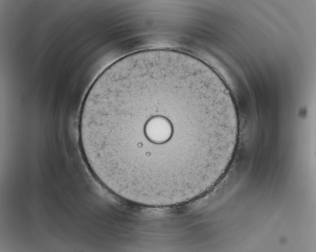 X0000116840810201001081457