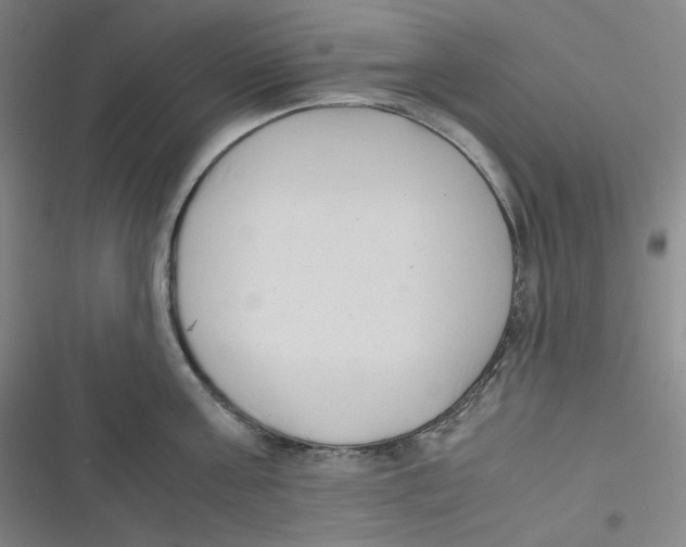 X0000116840811201001081457