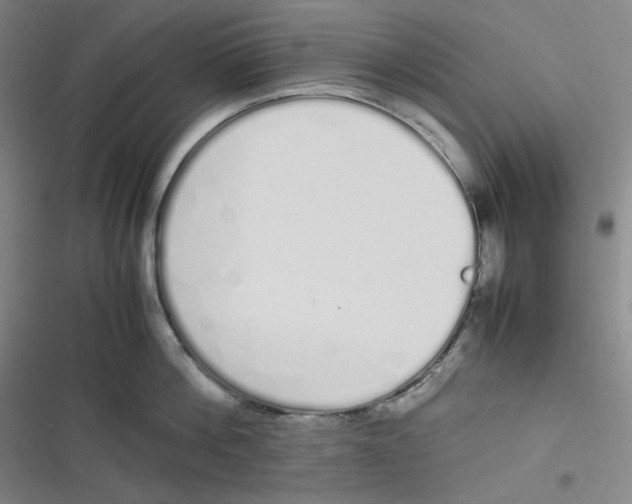 X0000116840812201001081457