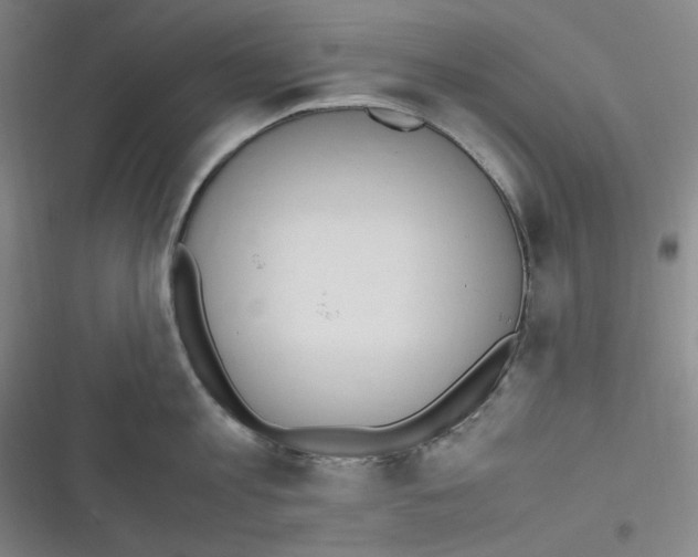 X0000116840813201001081457