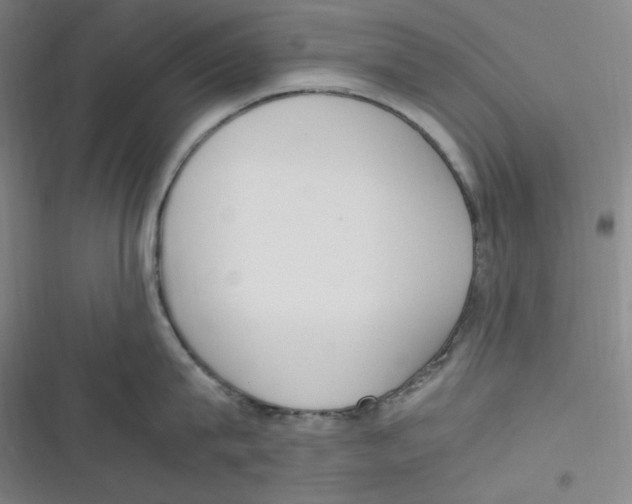 X0000116840815201001081457