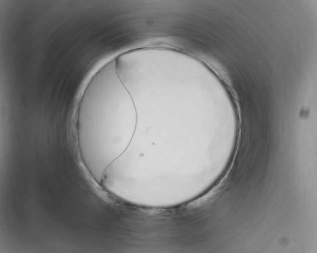 X0000116840816201001081457