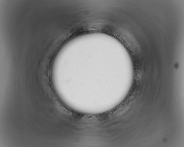 X0000116840817201001081456