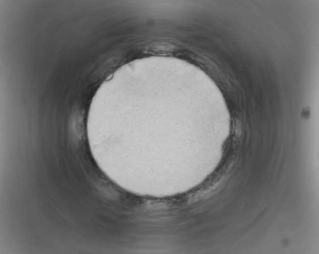 X0000116840818201001081456