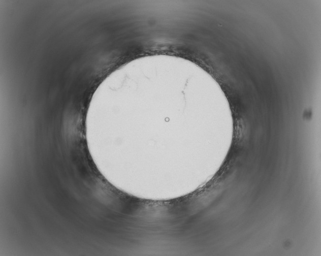 X0000116840820201001081456