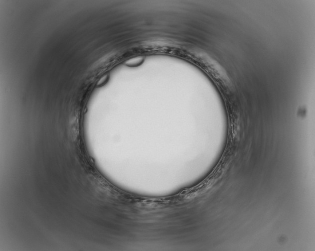 X0000116840821201001081456