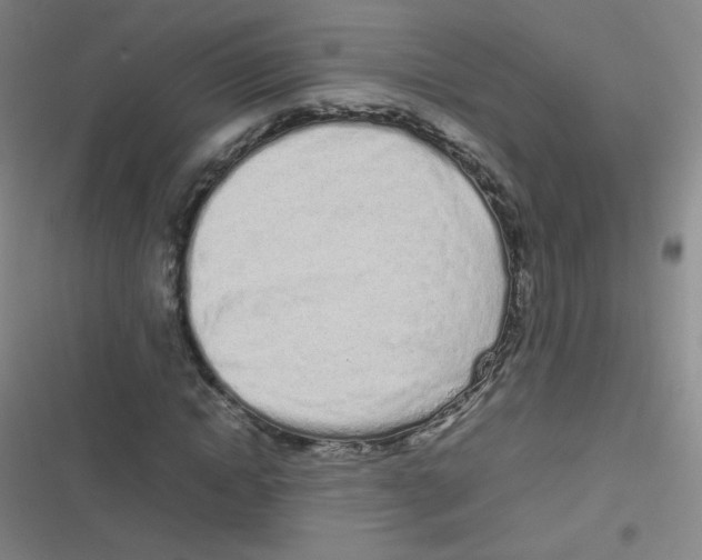 X0000116840822201001081457