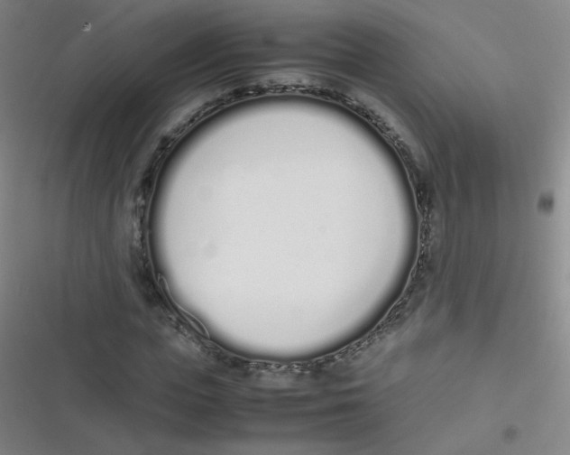 X0000116840823201001081457