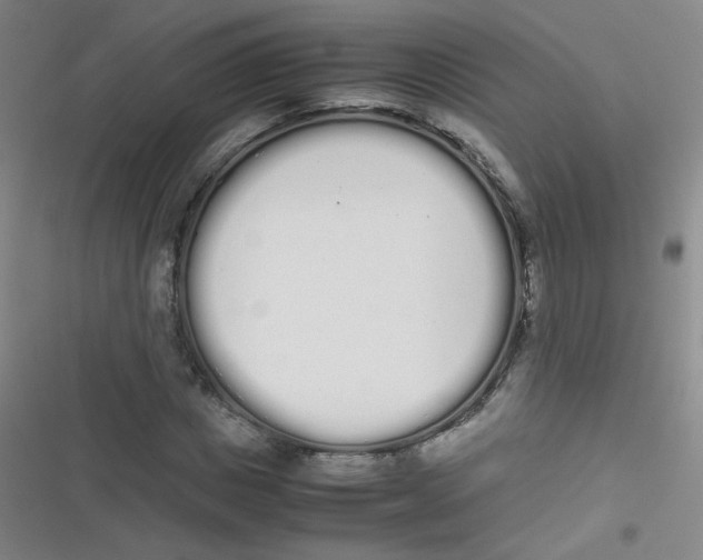 X0000116840825201001081457