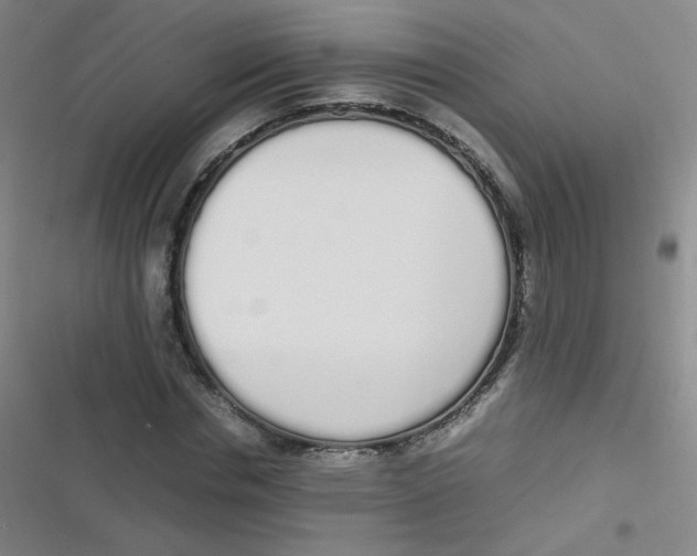 X0000116840826201001081457