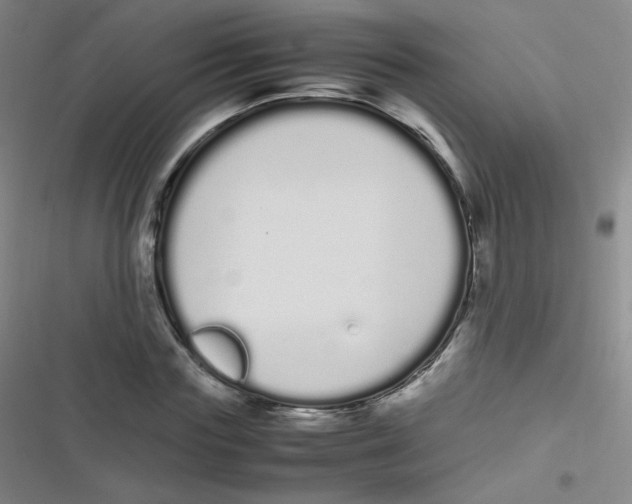 X0000116840827201001081457