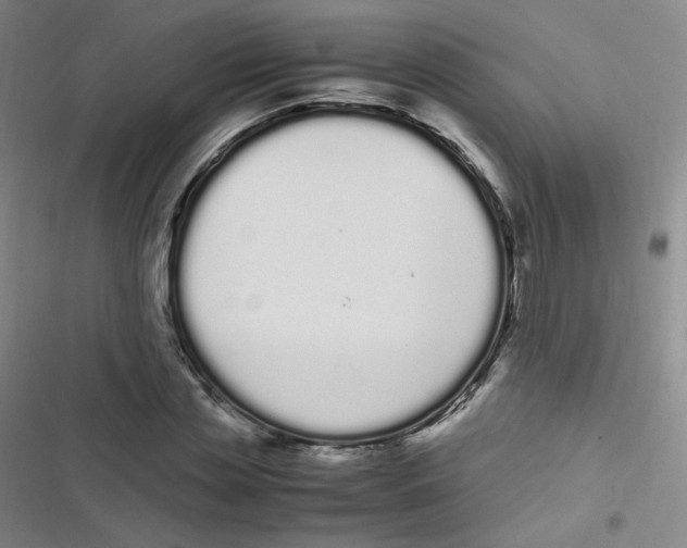 X0000116840829201001081457