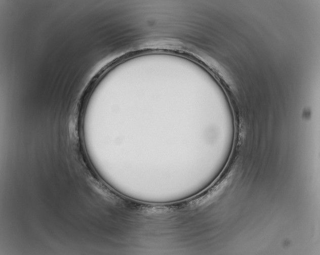 X0000116840830201001081457