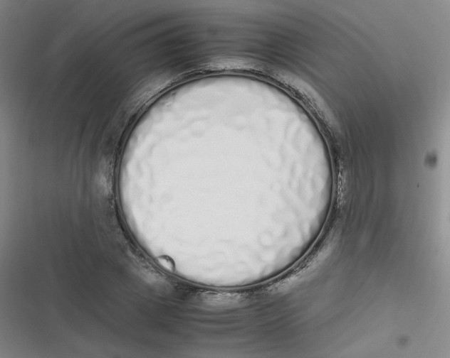 X0000116840833201001081457