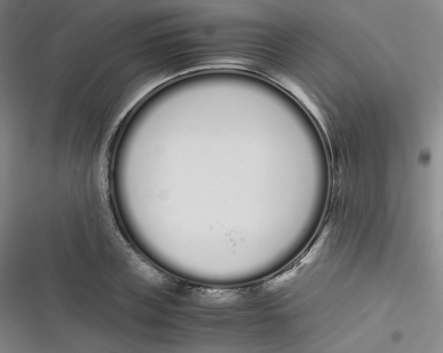 X0000116840835201001081457