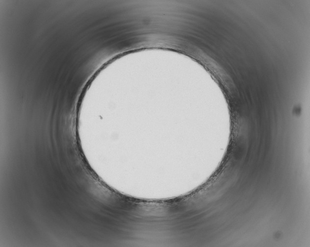 X0000116840836201001081457