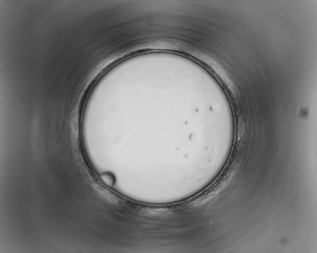 X0000116840837201001081457