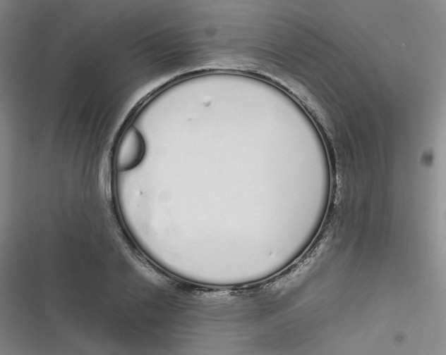 X0000116840838201001081457