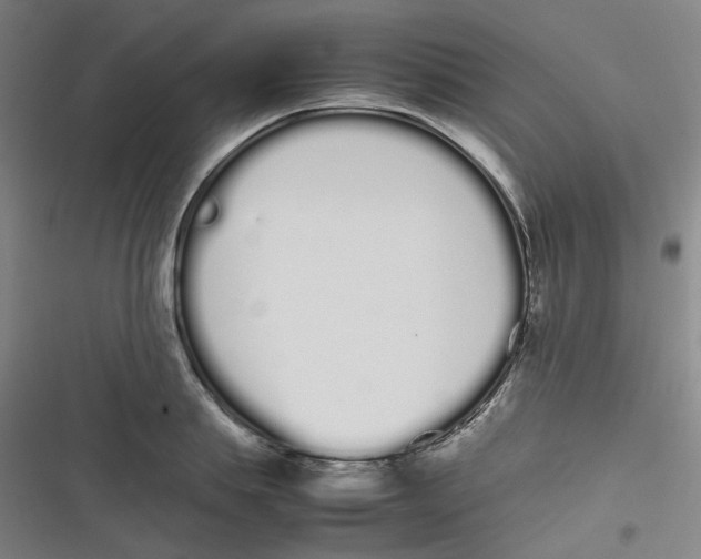 X0000116840839201001081457