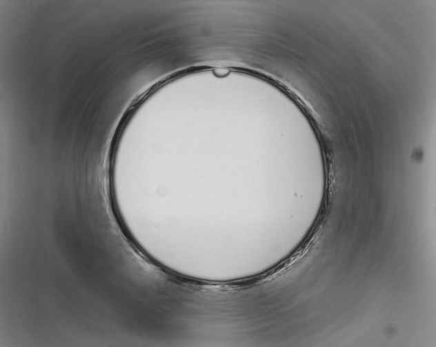 X0000116840840201001081457