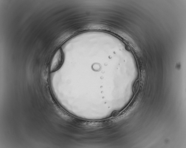 X0000116840841201001081457