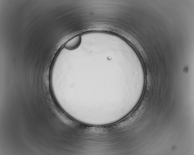 X0000116840842201001081457