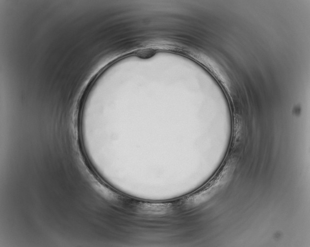 X0000116840843201001081457