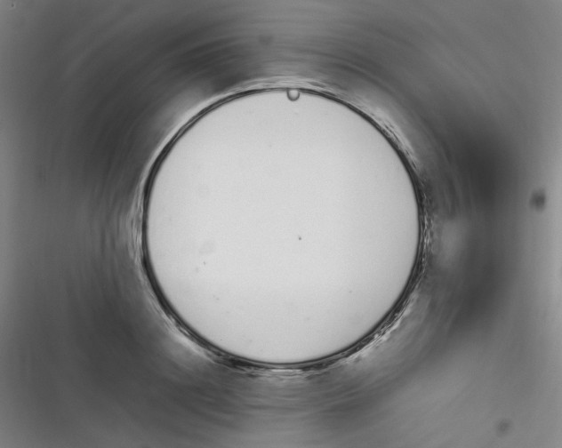 X0000116840844201001081457