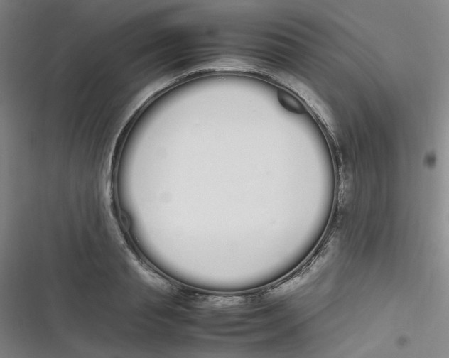 X0000116840845201001081457