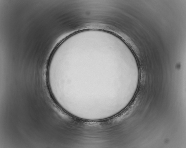 X0000116840846201001081457