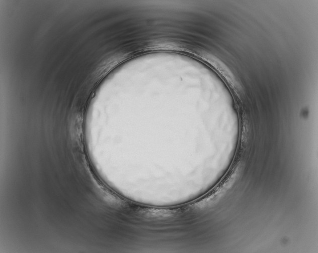 X0000116840849201001081457