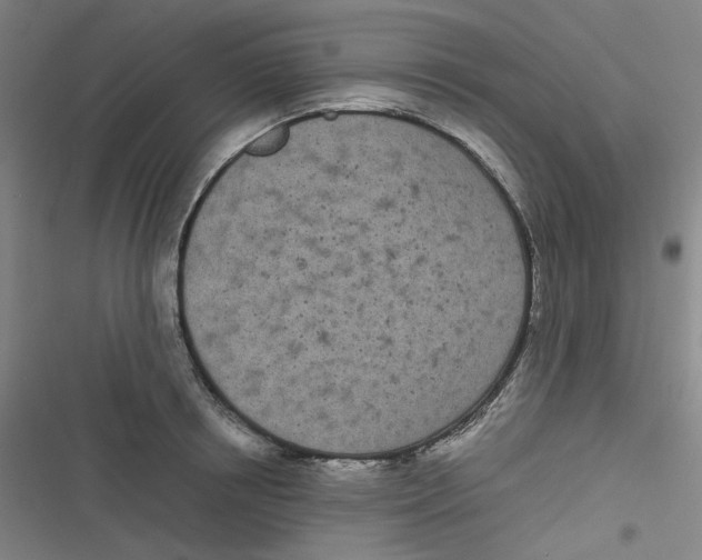 X0000116840850201001081457