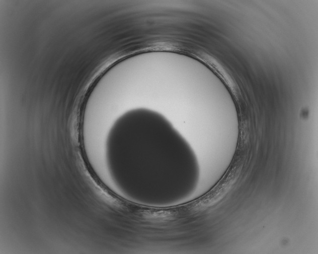 X0000116840851201001081457