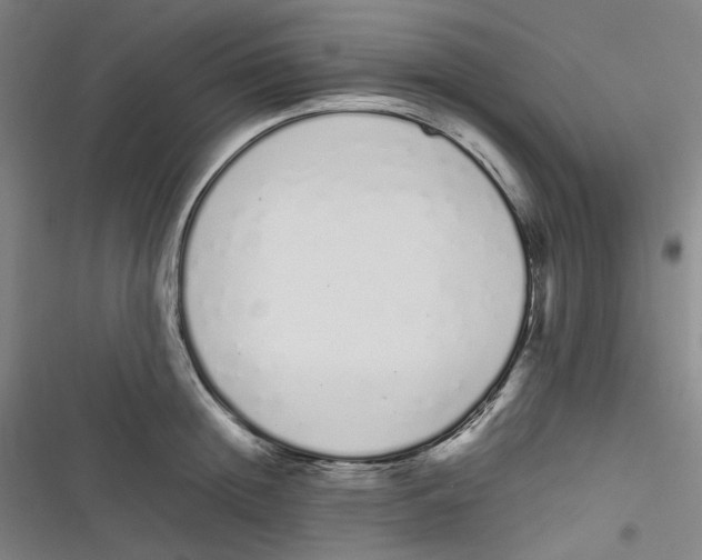 X0000116840852201001081457