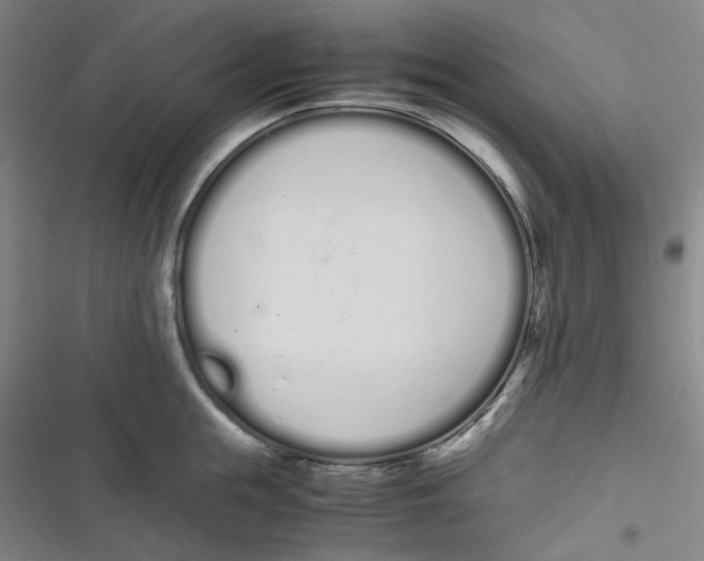 X0000116840855201001081457