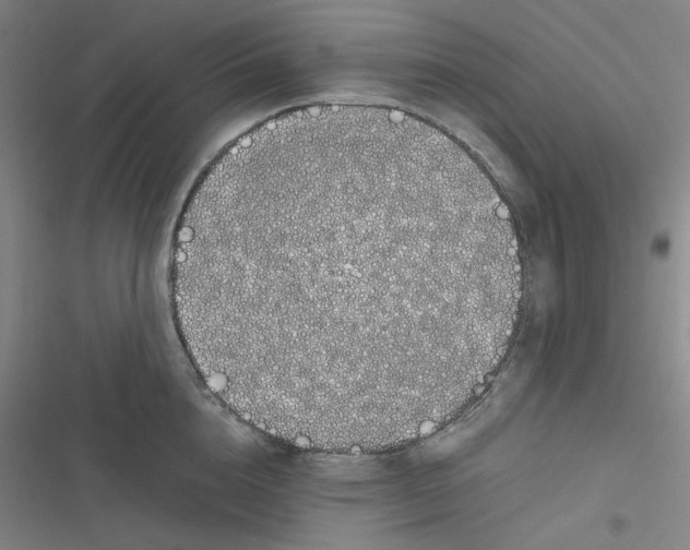 X0000116840856201001081457