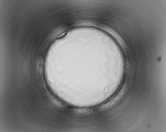 X0000116840857201001081457