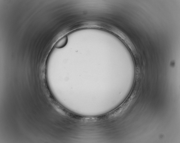 X0000116840858201001081457